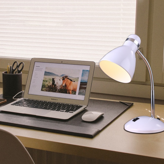 Modern Gooseneck Desk Lamp